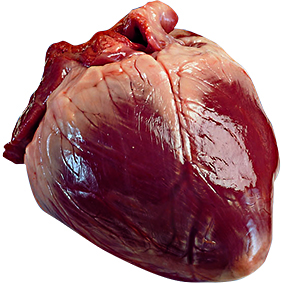 Hjerte